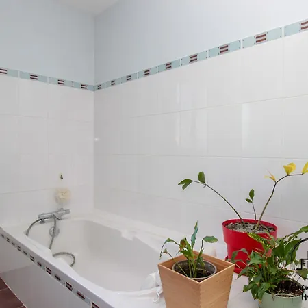 Feriehus Du Chanoine Clim Piscine Wifi Albi