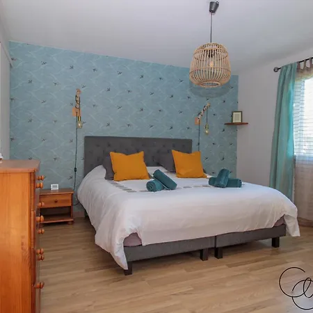Holiday home Du Chanoine Clim Piscine Wifi Albi