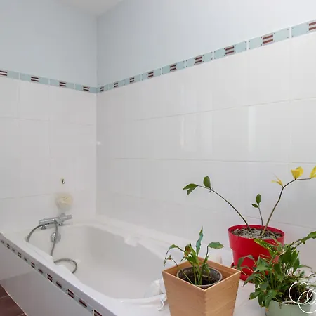 Du Chanoine Clim Piscine Wifi Holiday home Albi